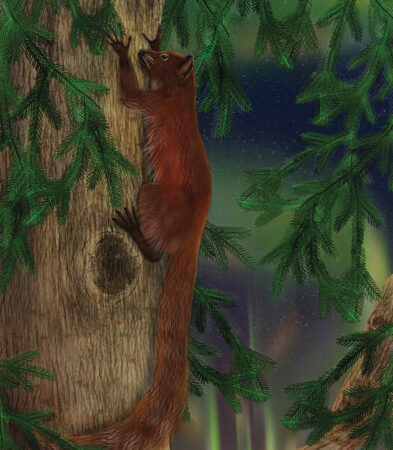 An illustration of an early reddish-brown groundhog-sized primate clinging to the side of a tree.
