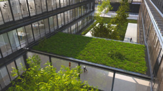 An illustration of gardens in a courtyard, including green space on the roof of a walk way between glass buildings.