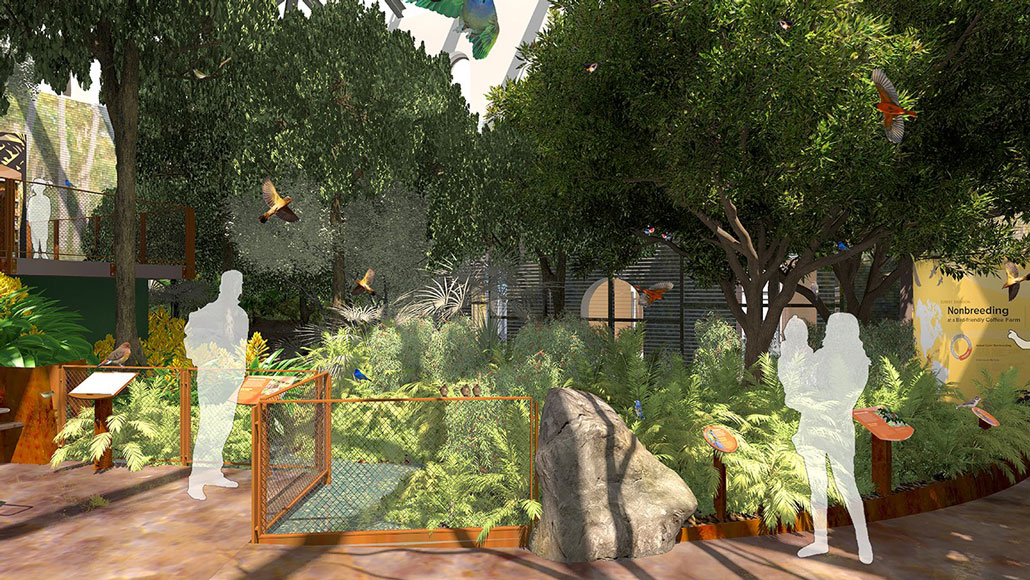An artists rendering of the new bird house at the Smithsonian's Nation Zoo with trees and bushes, and birds flying around.