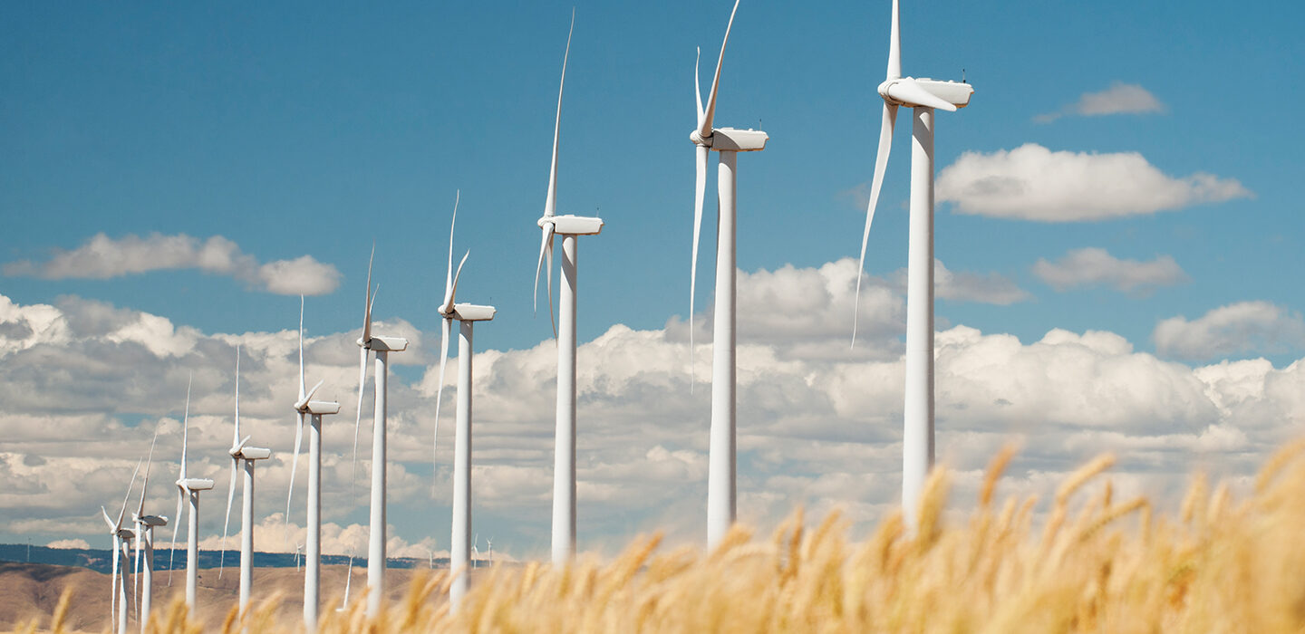 A line of wind turbines disappearing into the distance with an out of focus wheat field in the foreground.