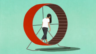 A woman with her head down and brown hair covering her face walking on the inside of a large red wheel.