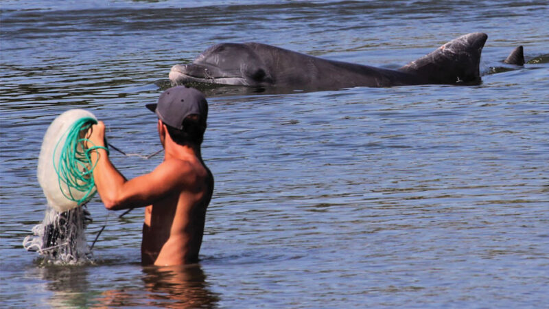 Here are 3 people-animal collaborations besides dolphins and Brazilians