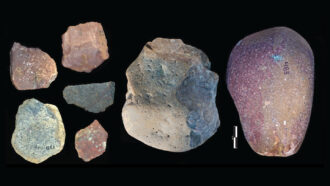 composite image of stone tool artifacts on a black background