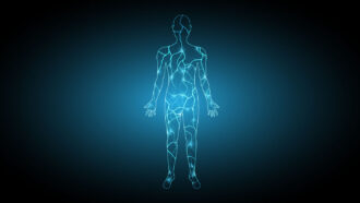 An illustration of a body created with light blue lines to simulate electricity.