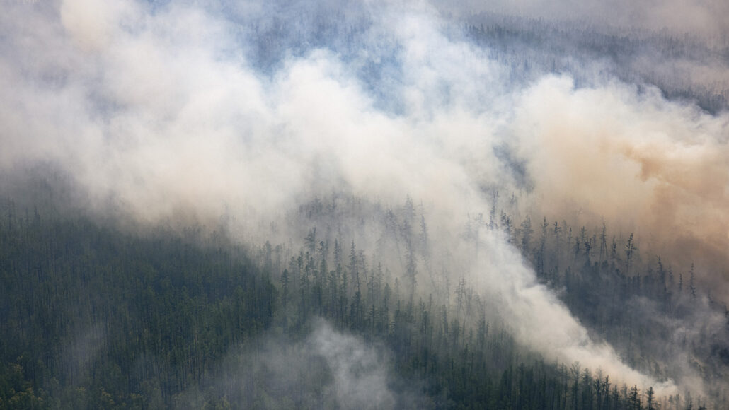 A photo of smoke rising above a forest.