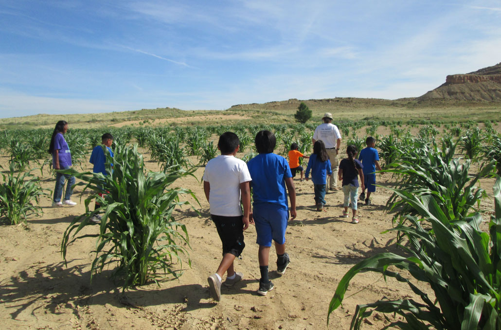 A photo of children walking in a dirt field with corn plants throughout.