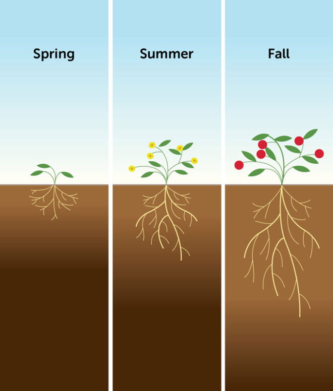 Dry farming could help agriculture in the western U.S. amid climate change