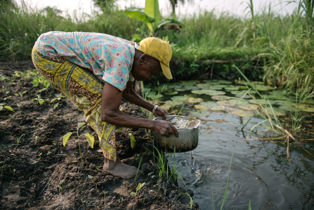 photo of a woman wearing a yellow cap crouching to pick up a pot of water from a catfish pond