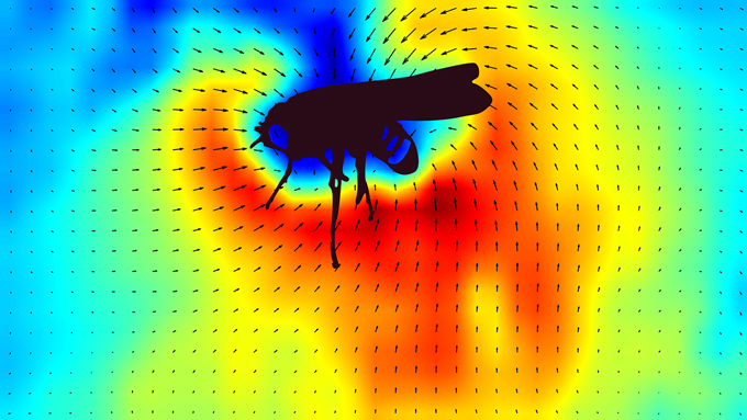 Ein Insekt in der oberen Mitte des Rahmens, umgeben von einem Regenbogen aus Farben.  Die Pfeile zeigen die Richtung, in die sich die Nematoden bewegen;  Farben zeigen die relative Geschwindigkeit an, wobei Blau für langsamer und Rot für schneller steht. 