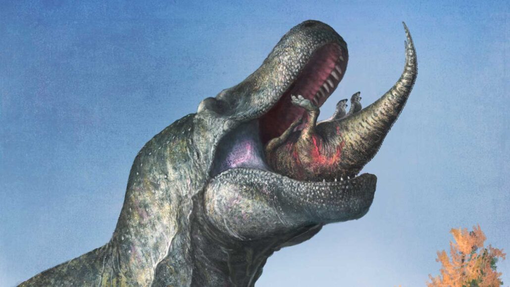 An illustration of a Tyrannosaurus eating a smaller dinosaur with half of that dino's body visible.