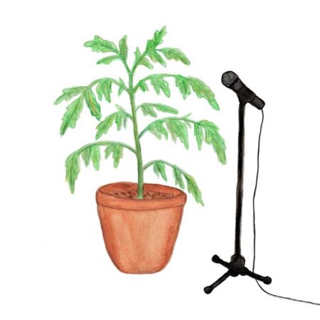 illustration of a microphone next to a plant