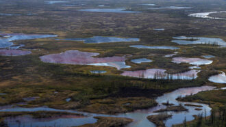 A Siberian landscape marred by an oil spill