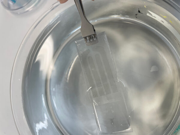 صورة للوشم الإلكتروني وهو يتم سحبه من وعاء به ماء.