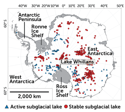 A map of Antarctica covered in red circles and blue triangles. The blue triangles represent active subglacial lakes and the red circles represent stable subglacial lakes, there are many more red circles.