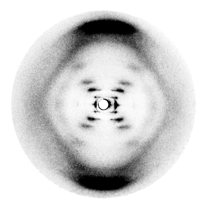 An X-ray diffraction image showing the B form of DNA, showing rows of black smudges forming a rough X shape