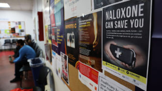 A wall of posters on a bulletin board in a classroom, one of which reads 'NALOXONE CAN SAVE YOU'