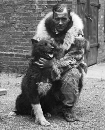 A black and white photo of Balto the sled dog with a man in a fur jacket.