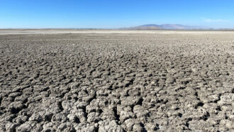 A photo of the Great Salt Lake with the dried gray ground and a bright blue sky in the background.