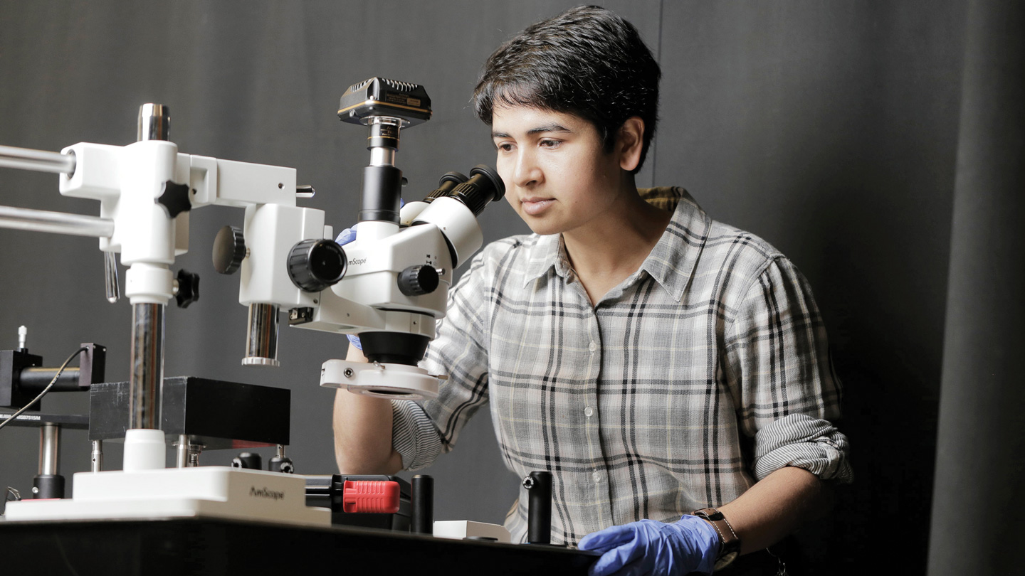 Deblina Sarkar is building microscopic machines to enter our brains