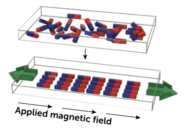 Two illustrations of the Cell Rover. The highest picture has a number of small blue and crimson rectangles randomly scattered in a white field. The underside picture has those self same small rectangles in an organized grid, six throughout and 4 down.