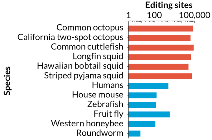 grafico a barre che mostra il numero di siti di ricodifica dell'RNA in varie specie animali
