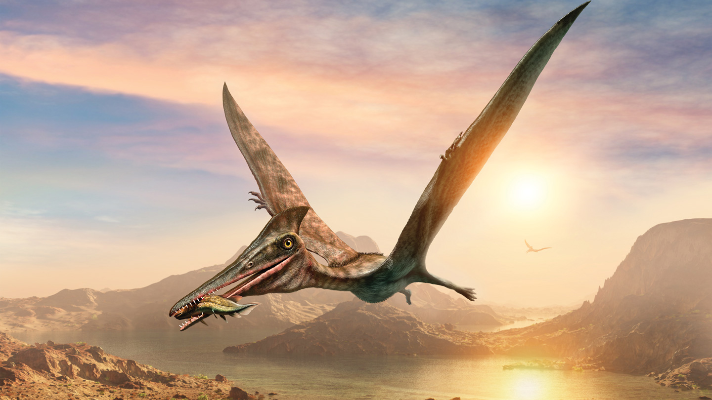New discoveries are bringing the world of pterosaurs to life