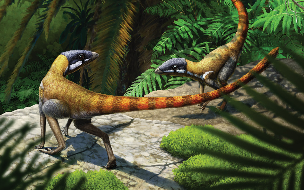 Morphology and Taxonomy of Quetzalcoatlus Lawson 1975 (Pterodactyloidea: Azhdarchoidea)