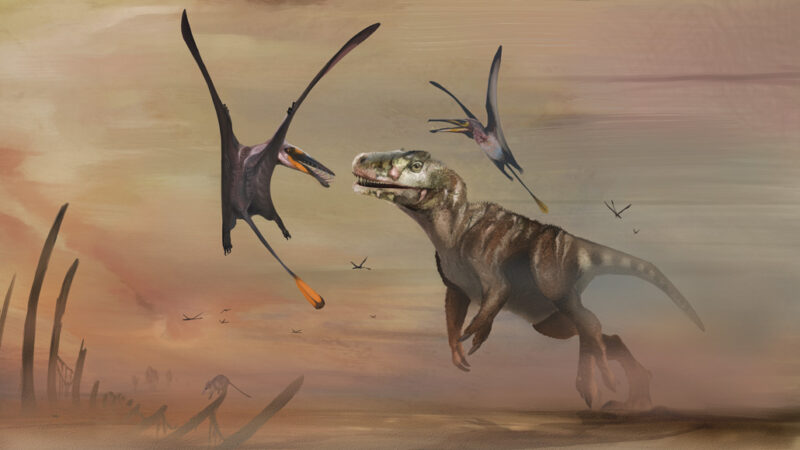 An illustration of Dearc Sgiathanach next to a dinosaur.