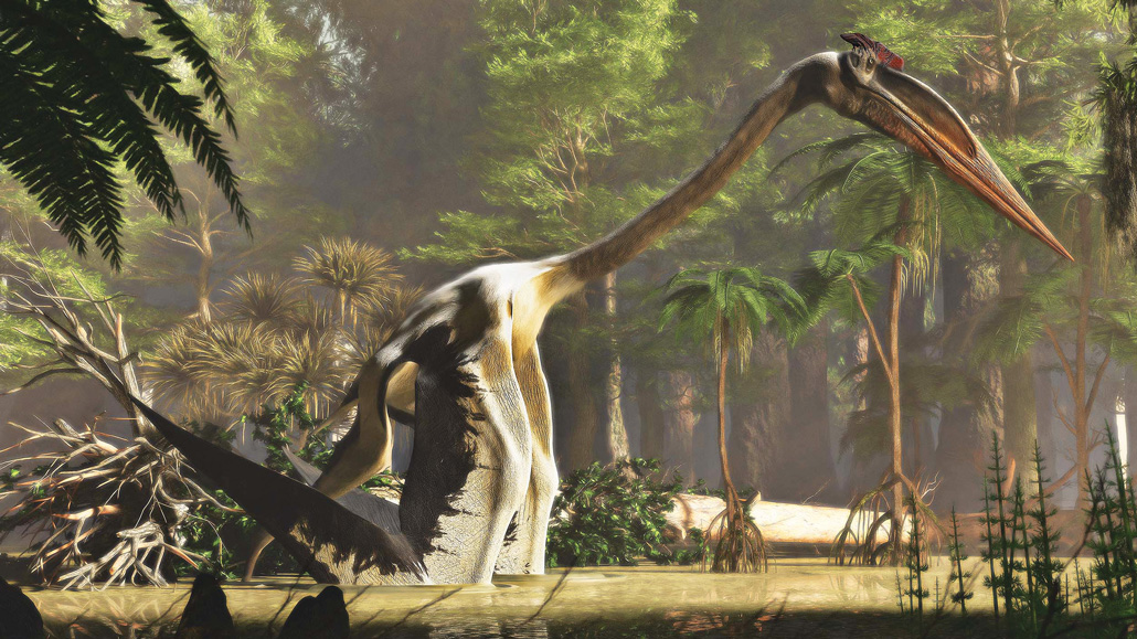 An illustration of a giraffe-sized Quetzalcoatlus northropi, walking through a river with trees and foliage in the background.