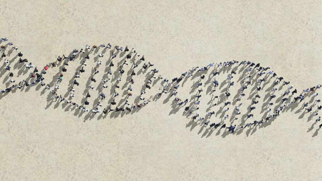 Illustrazione di una vista dall'alto di persone che camminano in linee che formano la forma della doppia elica del DNA umano, per rappresentare un singolo "pangenoma".