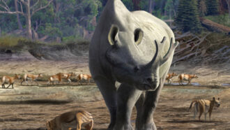 illustration of Megacerops kuwagatarhinus with small, striped mammals in the foreground and background