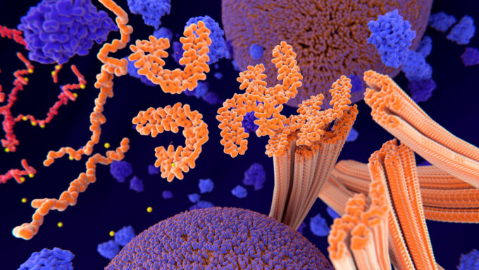 An illustration of tau proteins, in orange, with blue and purple proteins floating around.
