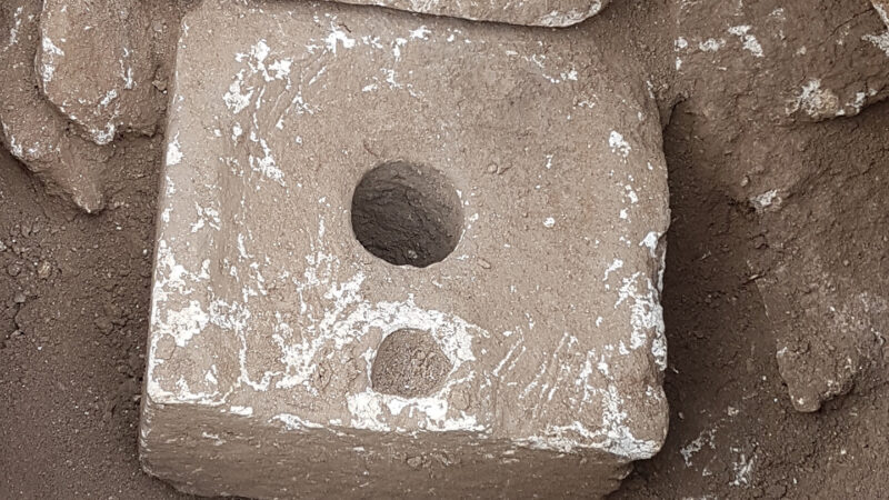 Oldest traces of a dysentery-causing parasite were found in ancient toilets