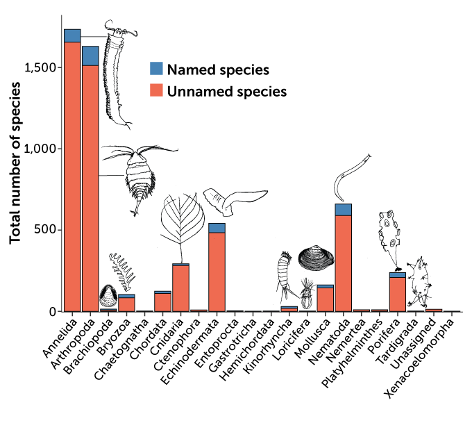 sciencenews.org