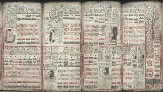 A photo of the pages of a book called the Dresden Codex.