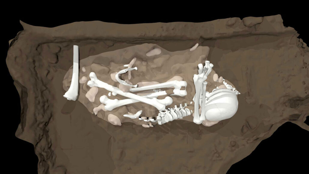 An artist reconstruction of a grave holding several bones.