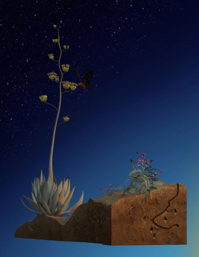 An illustration of a tall plant and two smaller plants growing out of the ground with a blue background. An underground tunnel is seen in the ground and a bat flys near the tall plant.