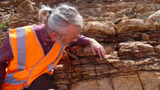 An archaeologist wearing an orange safety vest touching some rocks
