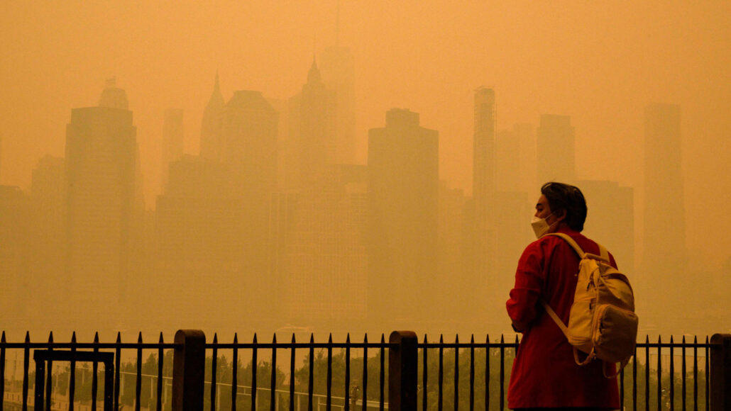 A photo of a person standing in front of the New York City skyline which is barely visible through an orange haze.