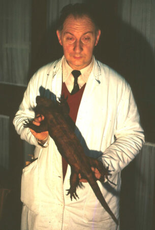 A photo of Alain Delcourt holding the giant gecko specimen with both hands.
