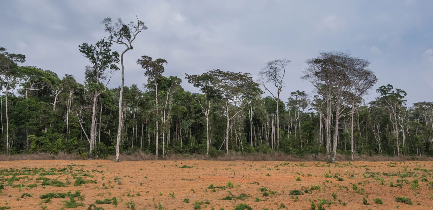 A photo of a dusty barren ground with the tree line seen in the middle distance.