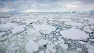 photo of Antarctic sea ice