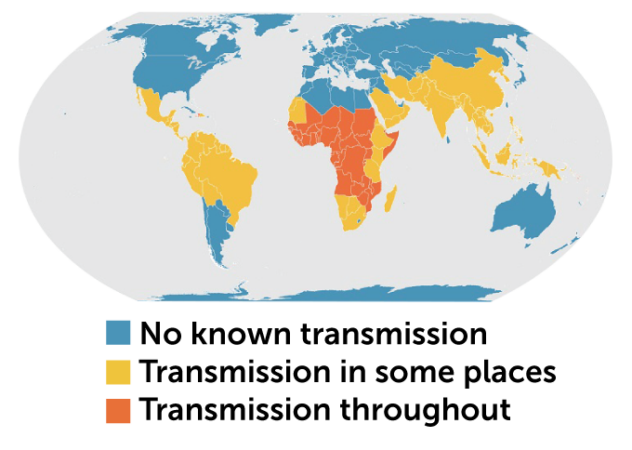 A map of the world shows the countries with no known malaria transmission in blue, malaria transmission in some places in yellow and malaria transmission throughout in orange.