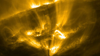 An image of the sun's corona shine in a gold hue. With loops and filaments coming off the surface.