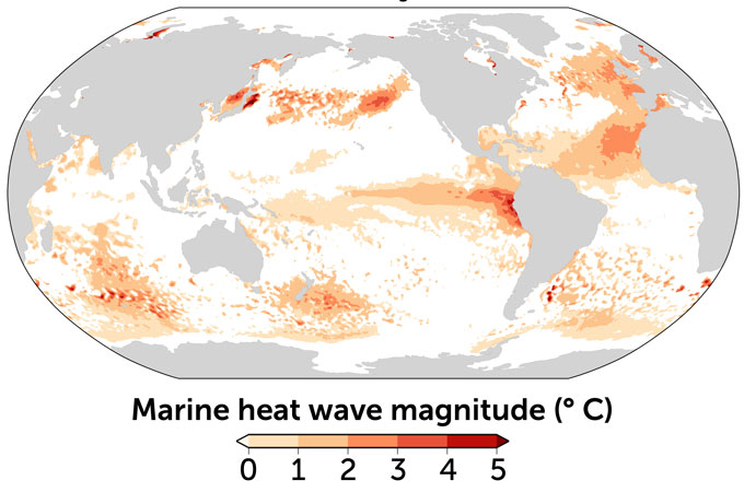 A map of the world showing heat patches in the oceans in shades of red.