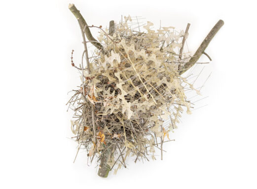 A photo of a Eurasian magpie nest made out of 50 meters of anitbird strips on a white background.