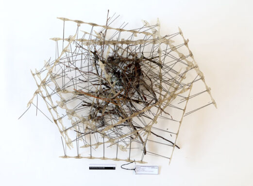 A photo of a carrion crow nest made using 24 identical antibird strips on a white background.