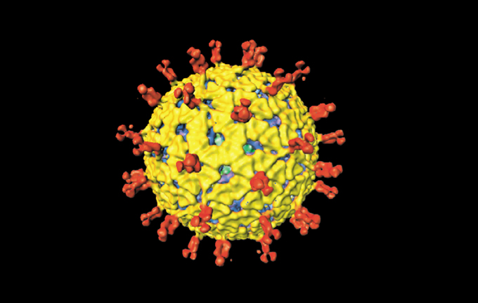 An illustration of a rotavirus particle that appears as a yellow ball with red spikes coming off it.
