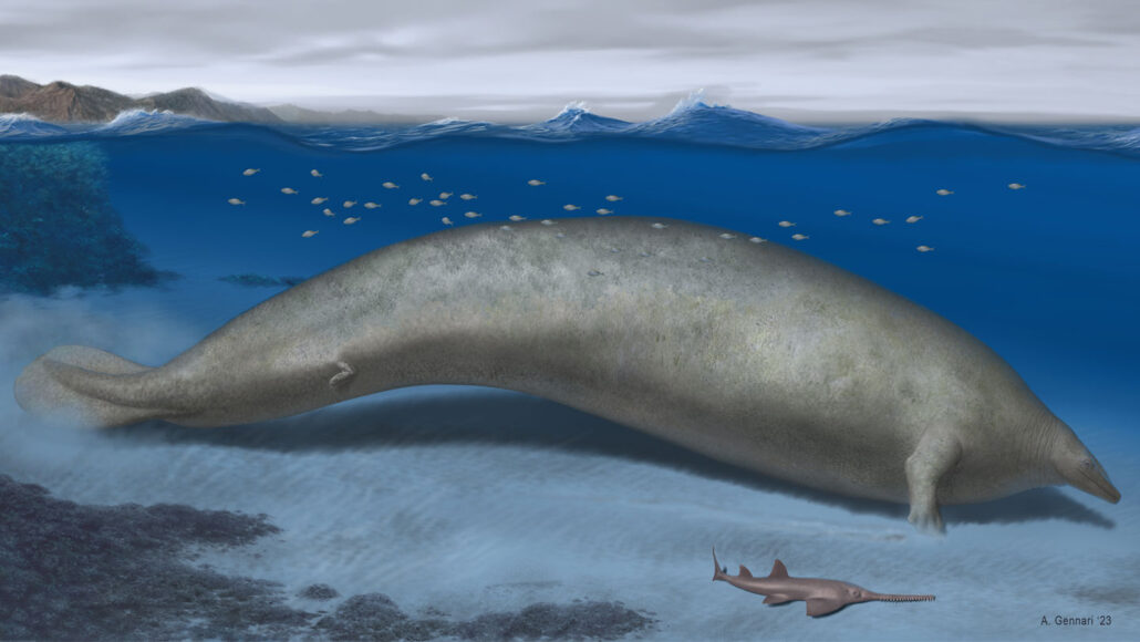 An illustration of an ancient whale under water with much smaller fish swimming around the massive creature.