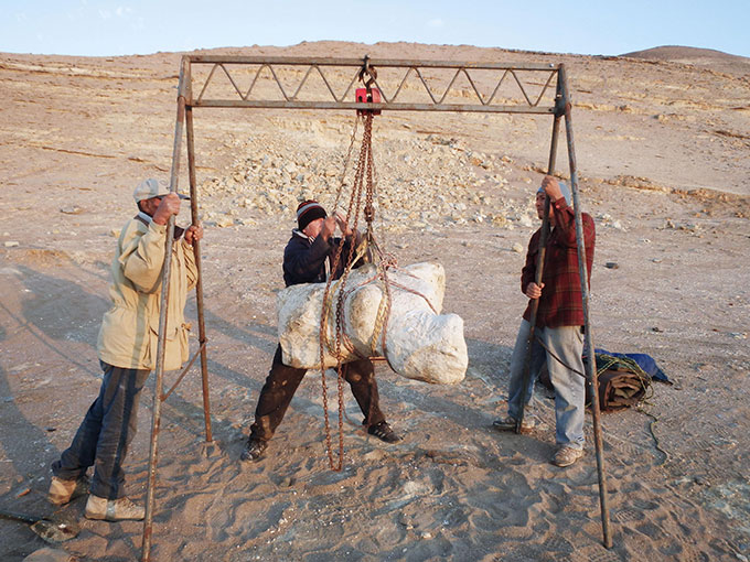 A photo of a tripod structure hoisting up an ancient whale vertebra while three people stand around the structure to hold it steady. A desert landscape is seen in the background.
